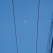 The moon