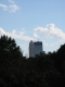 The city
