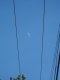 The moon