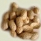 peanut.jpg
