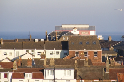 Daryl: 10.11.2008.12.10DSCF0035.JPG