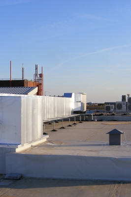 Daryl: 10.11.2008.12.10DSCF0036.JPG