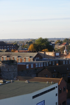 Daryl: 10.11.2008.12.10DSCF0038.JPG