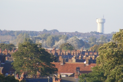 Daryl: 10.11.2008.12.10DSCF0037.JPG