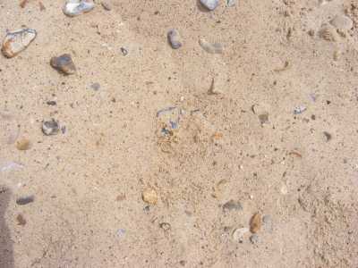 Perfectly excavated