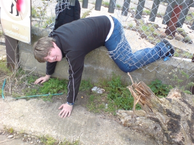 Daryl - Getting through the fence