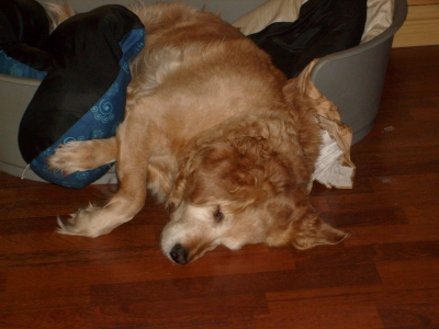 She sleeps
