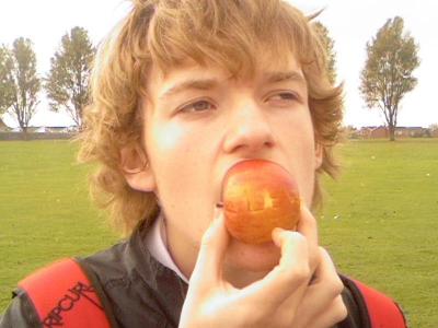 Apples are healthy Apples are healthy