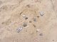 Archeological artefacts are hard to fin