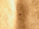 The Hole!