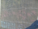S7300635.JPG