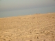 S7300711.JPG