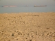 S7300713.JPG