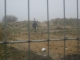 Tresspassing