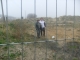 Tresspassing
