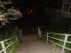 Dark path.jpg