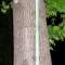 100_3876.JPG