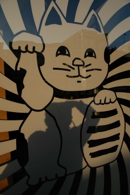 Lucky Cat