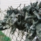 6434617-R1-027-12.jpg