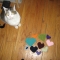 Cat & Hearts
