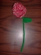 Done Rose