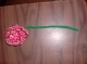Rose on Stem