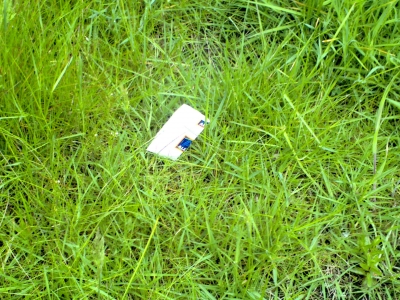 The offending receipt The offending receipt