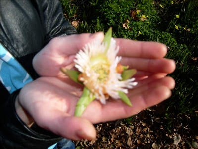 pretty pretty pretty