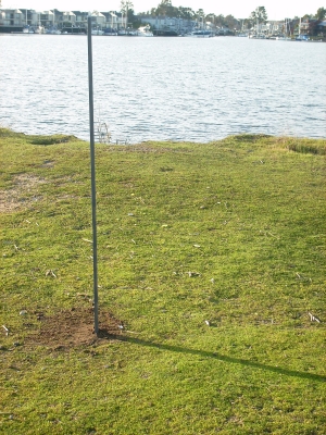 upright at last upright at last