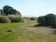 Original Location