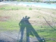 the shadow is us