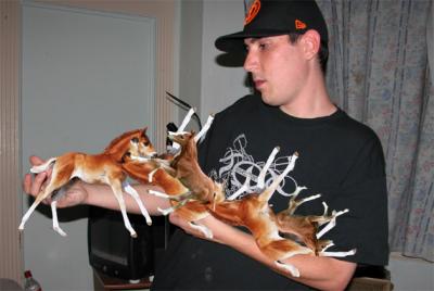 hold your horses, young man!