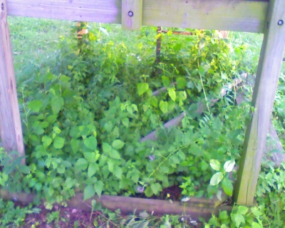 06.22.2008.18.29Image0015.jpg