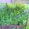06.22.2008.18.29Image0015.jpg