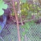 06.22.2008.18.29Image0020.jpg