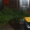 DSCF1847.JPG