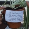 DSCF1877.JPG