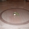 DSCF1878.JPG