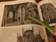 DSCF1856.JPG