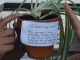 DSCF1877.JPG