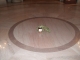 DSCF1878.JPG