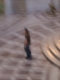 DSCF1885.JPG