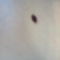 Armpit Monster Armpit Monster