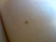Blurry Butterfly