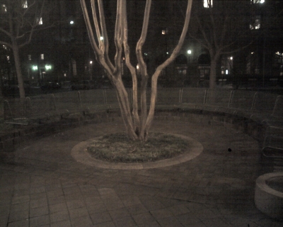 District Council of Elrond District Council of Elrond