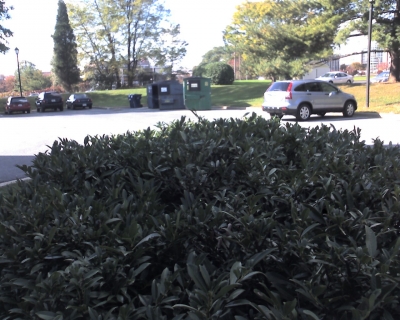The Scene of the Shot