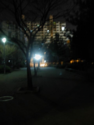 April 9: 1:30 am: Trees