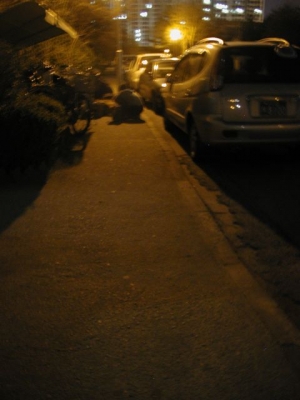 April 9: 1:30 am: Sidewalk April 9: 1:30 am: Sidewalk