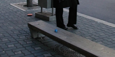 Bus Stop Rose