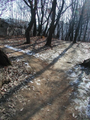 Two Roads Diverged...